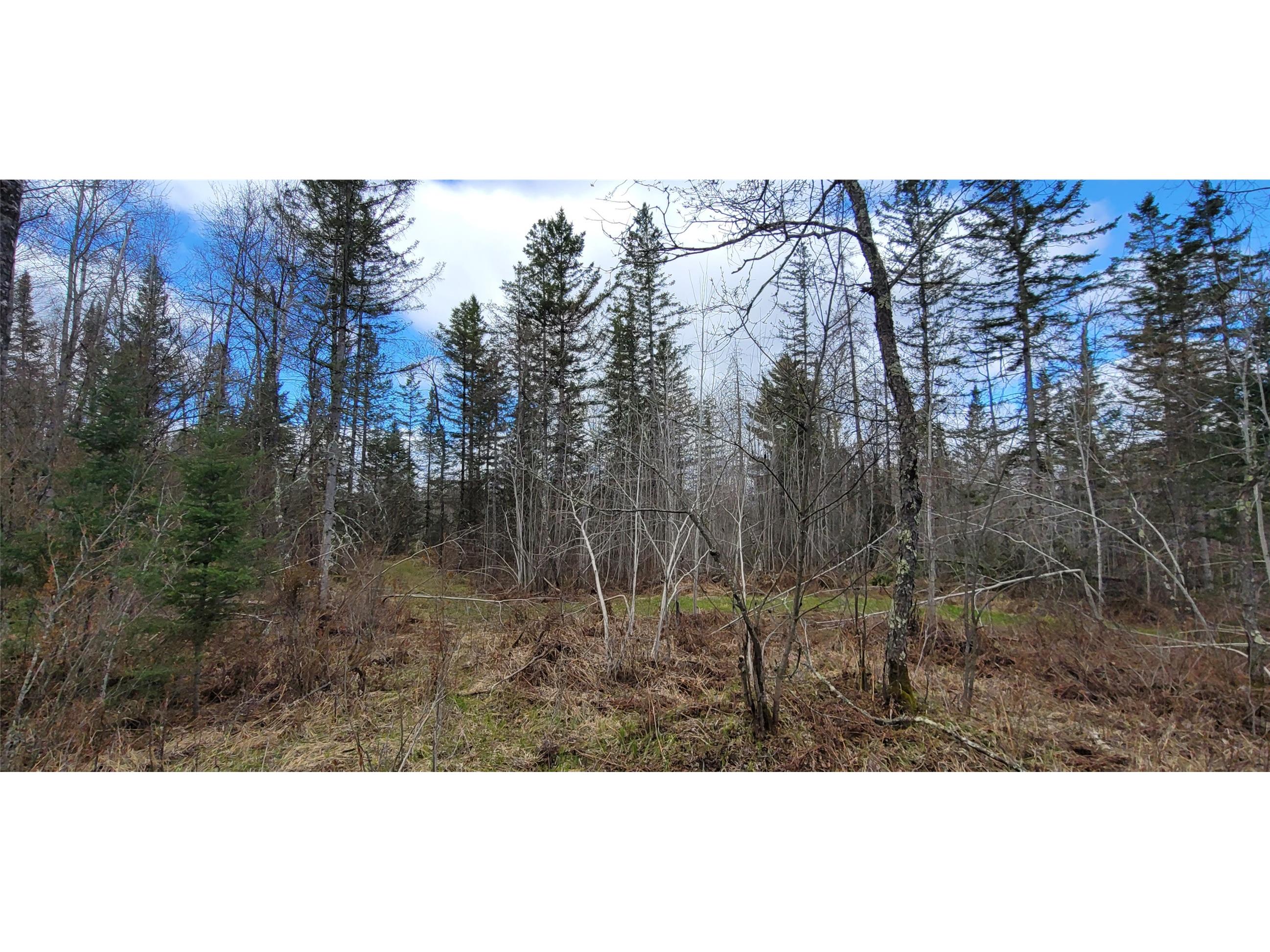 11553N County Highway A Hayward WI 54843 1602465 image3