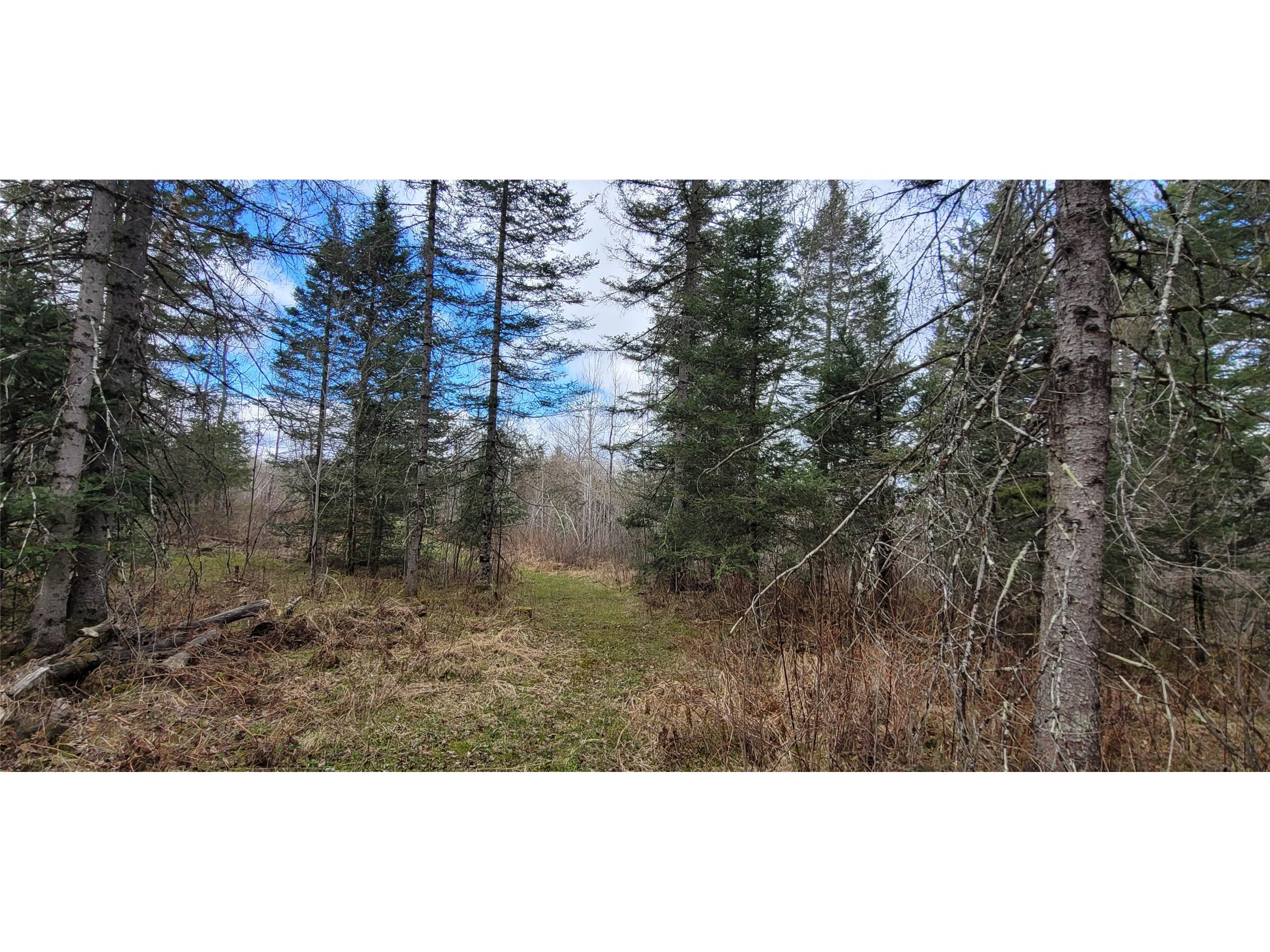 11553N County Highway A Hayward WI 54843 1602465 image4