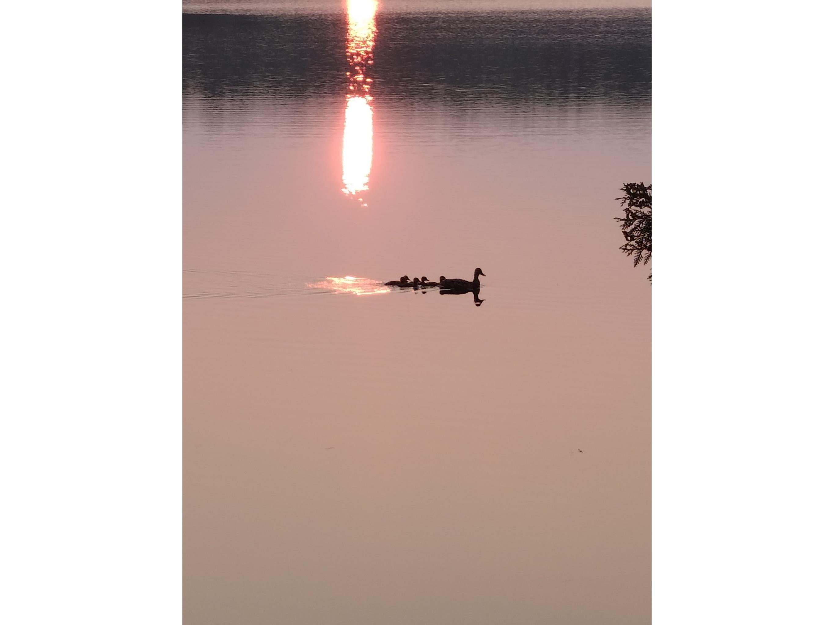 11587 Butternut Lake Road Butternut WI 54514 - Butternut Lake 1601709 image17