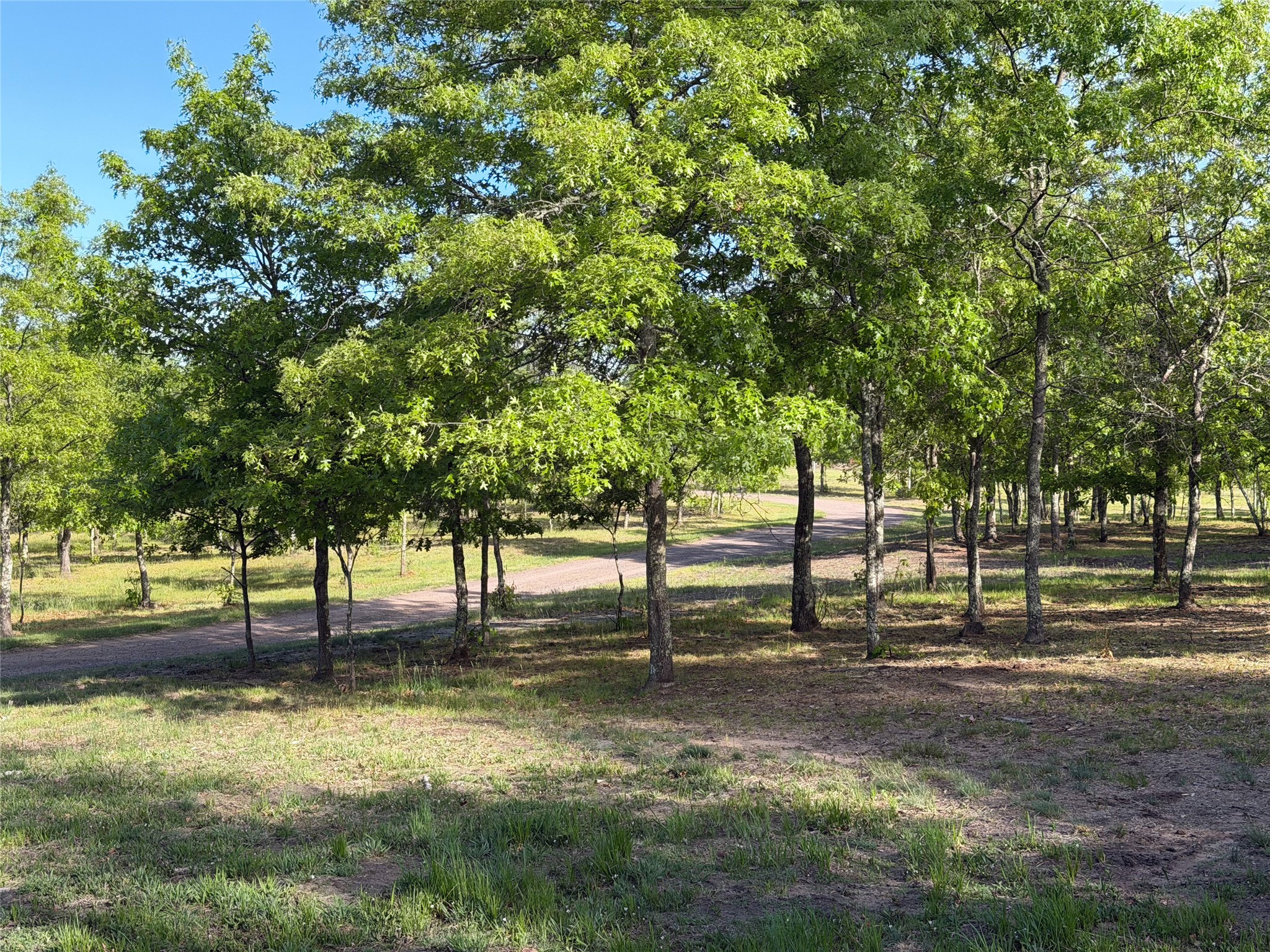 11702 East Mail Road Gordon WI 54838 - Alexander Lake 1599639 image49