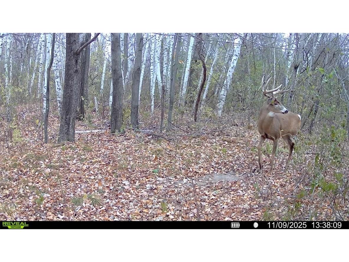 1174 230th Street Baldwin WI 54002 1595327 image2