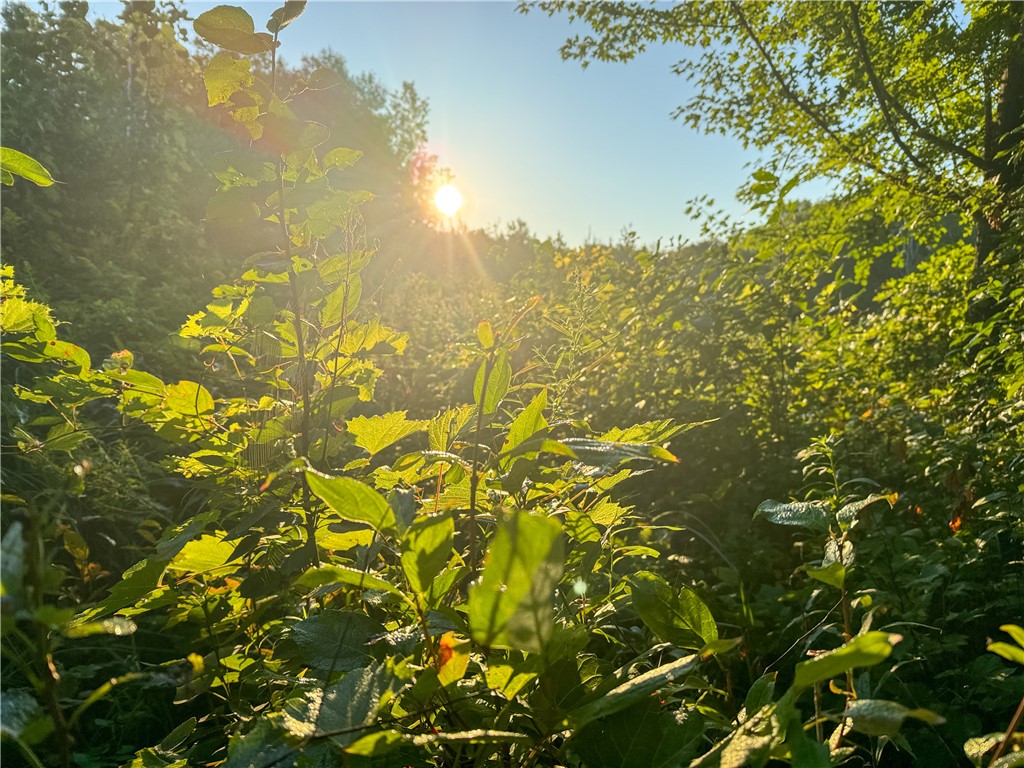 1174 230th Street Baldwin WI 54002 1595327 image29