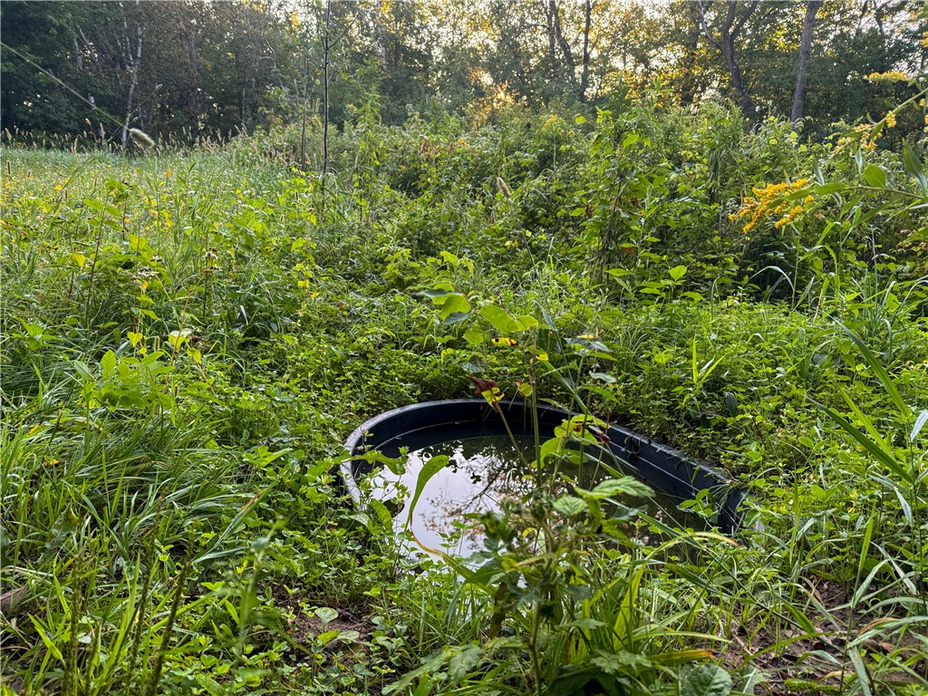 1174 230th Street Baldwin WI 54002 1595327 image30