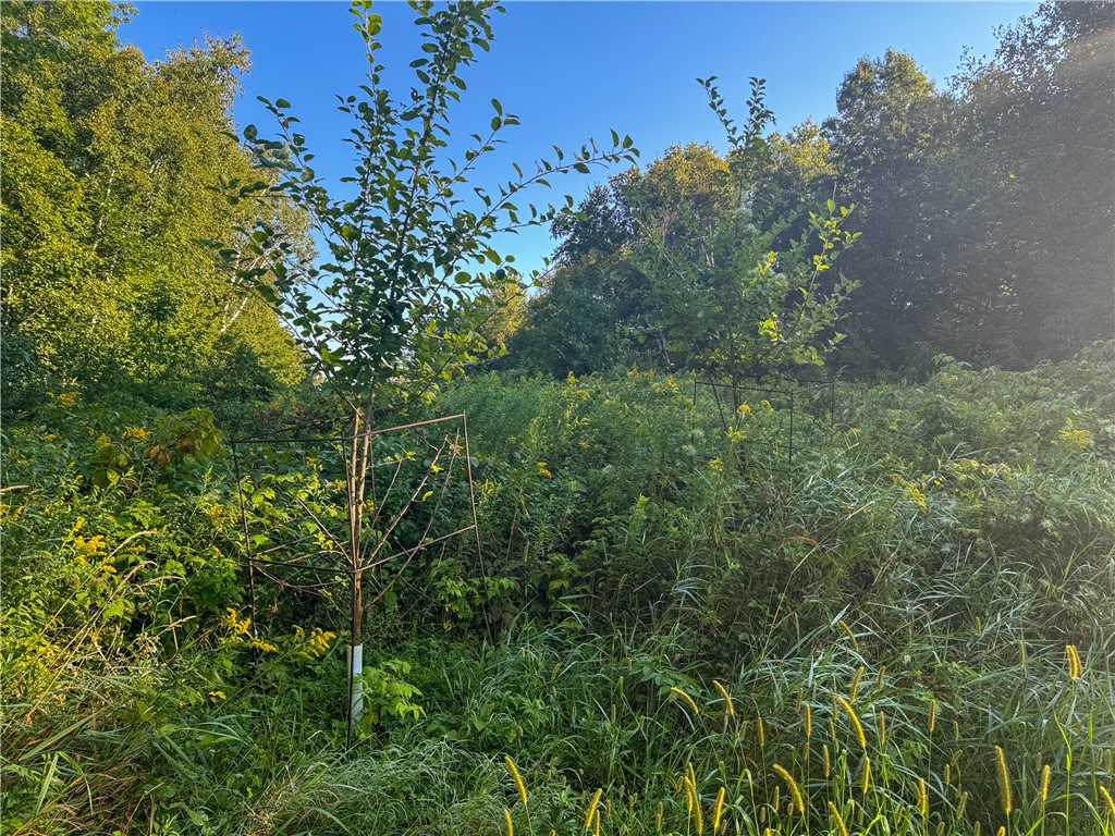 1174 230th Street Baldwin WI 54002 1595327 image32