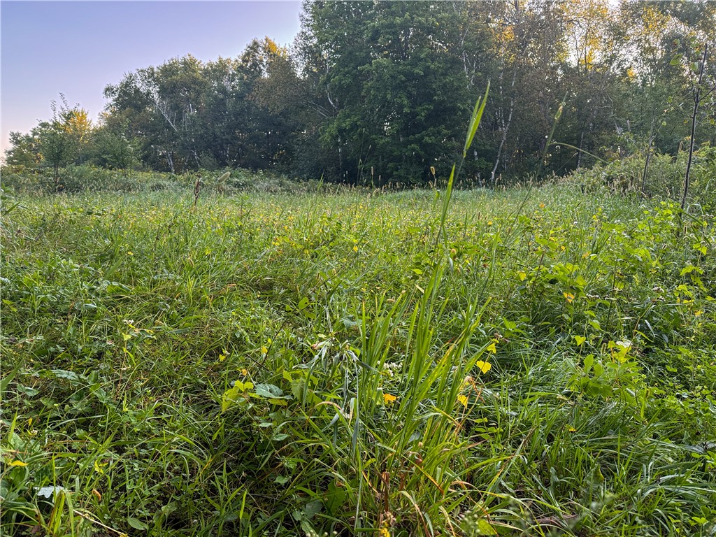 1174 230th Street Baldwin WI 54002 1595327 image33