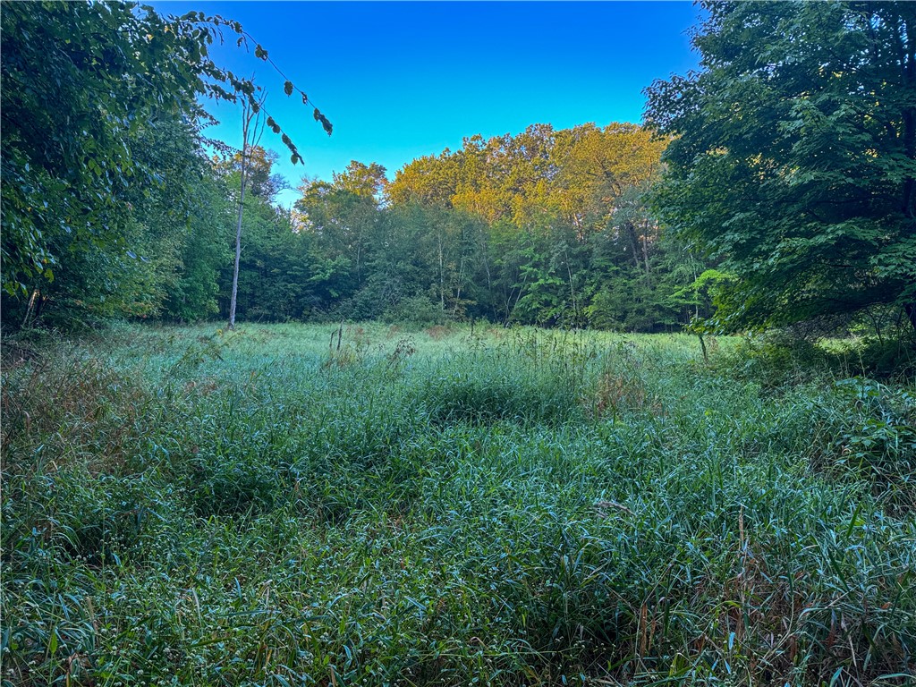 1174 230th Street Baldwin WI 54002 1595327 image34