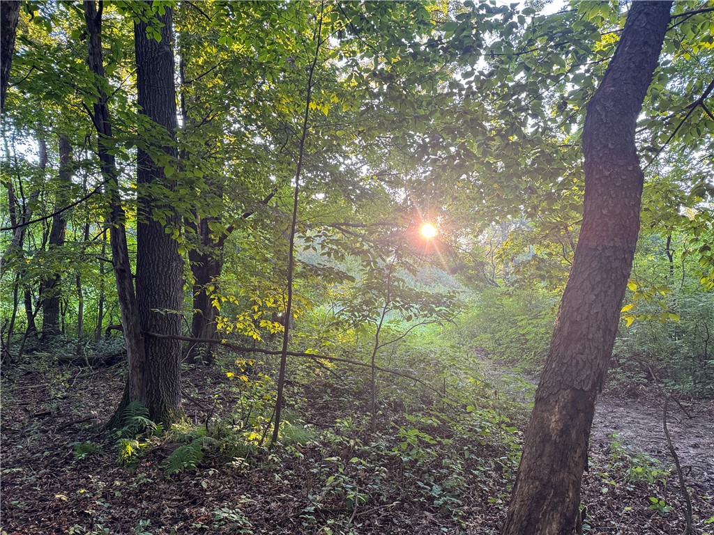 1174 230th Street Baldwin WI 54002 1595327 image36