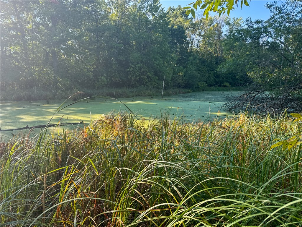 1174 230th Street Baldwin WI 54002 1595327 image38