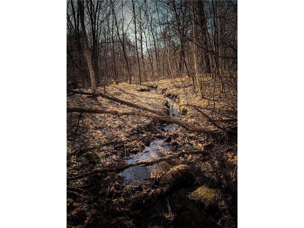 1174 230th Street Baldwin WI 54002 1595327 image41