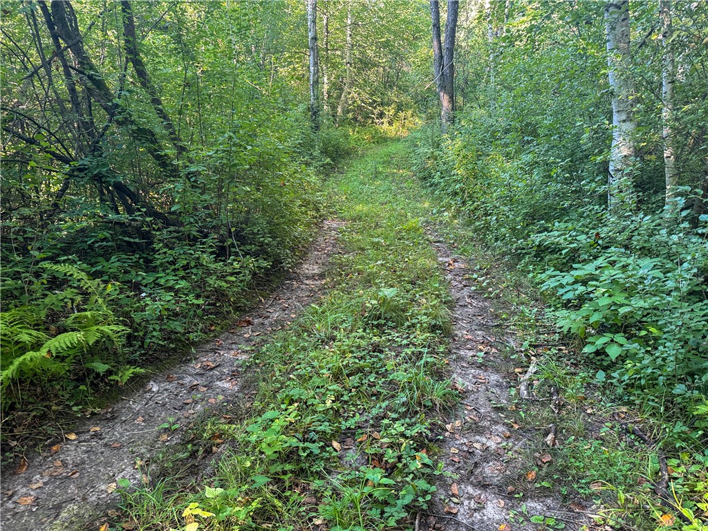 1174 230th Street Baldwin WI 54002 1595327 image43