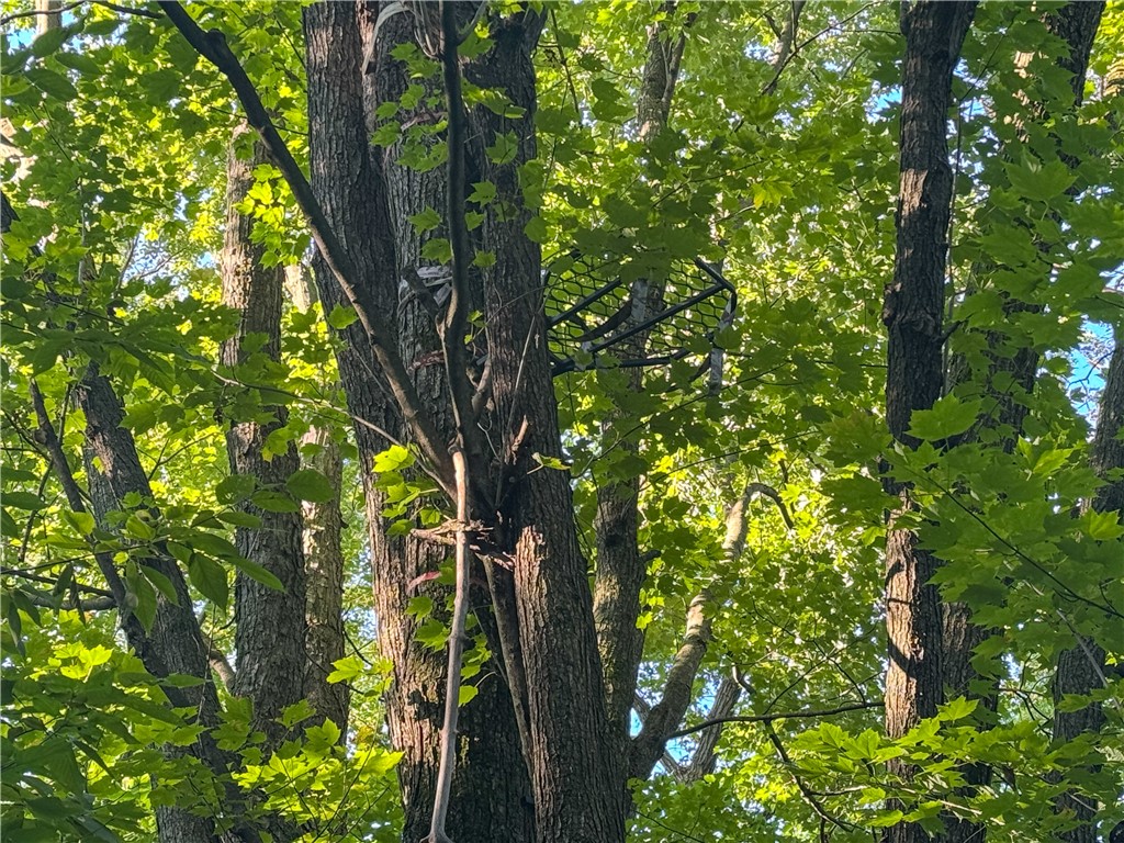 1174 230th Street Baldwin WI 54002 1595327 image44