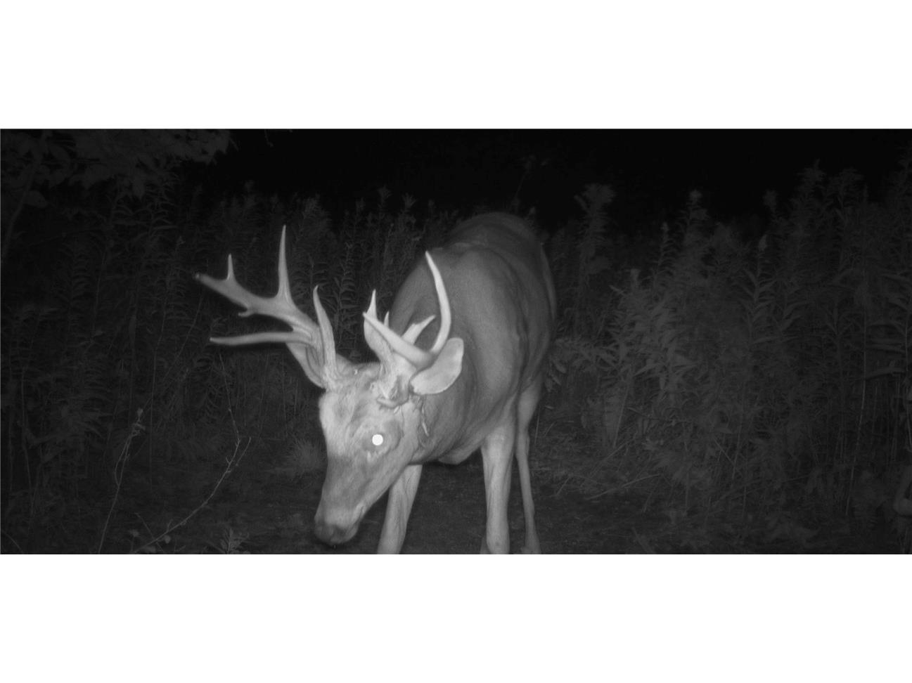 1174 230th Street Baldwin WI 54002 1595327 image47