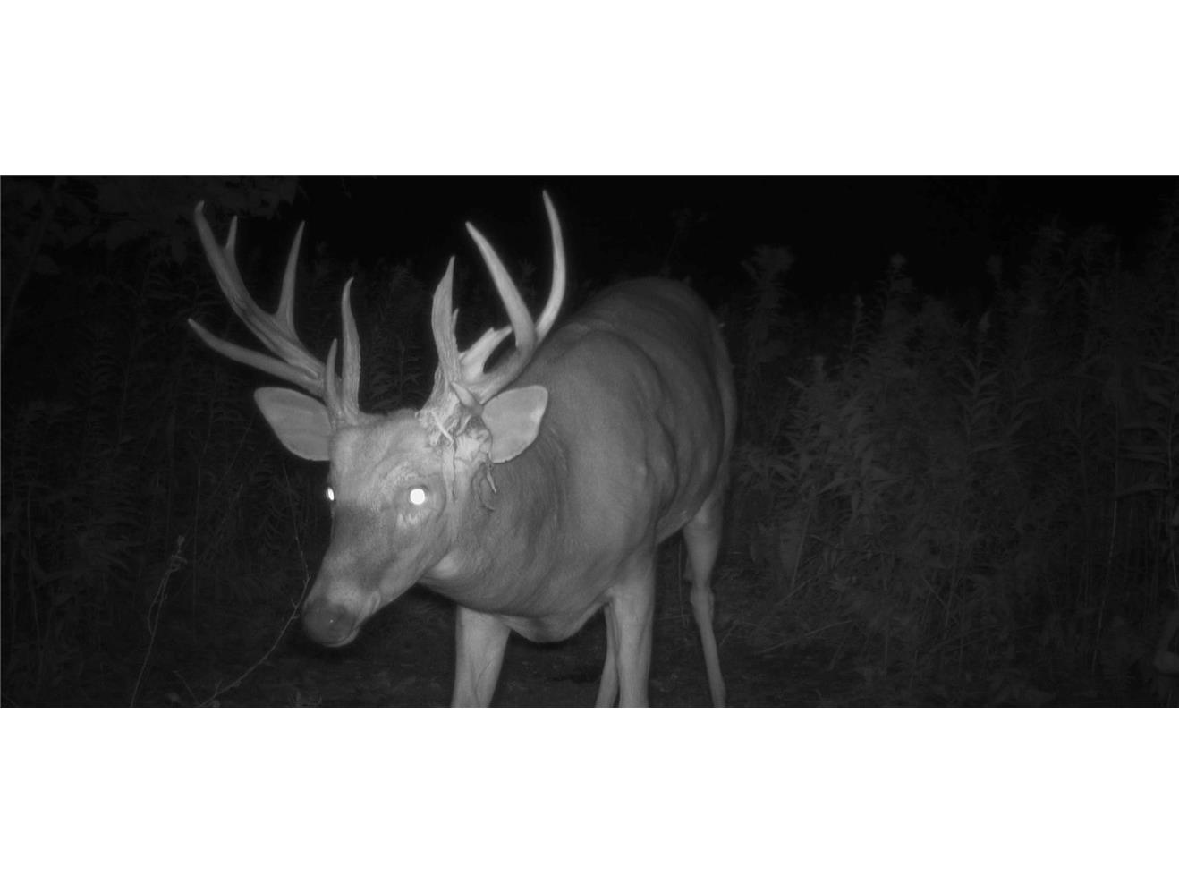 1174 230th Street Baldwin WI 54002 1595327 image48