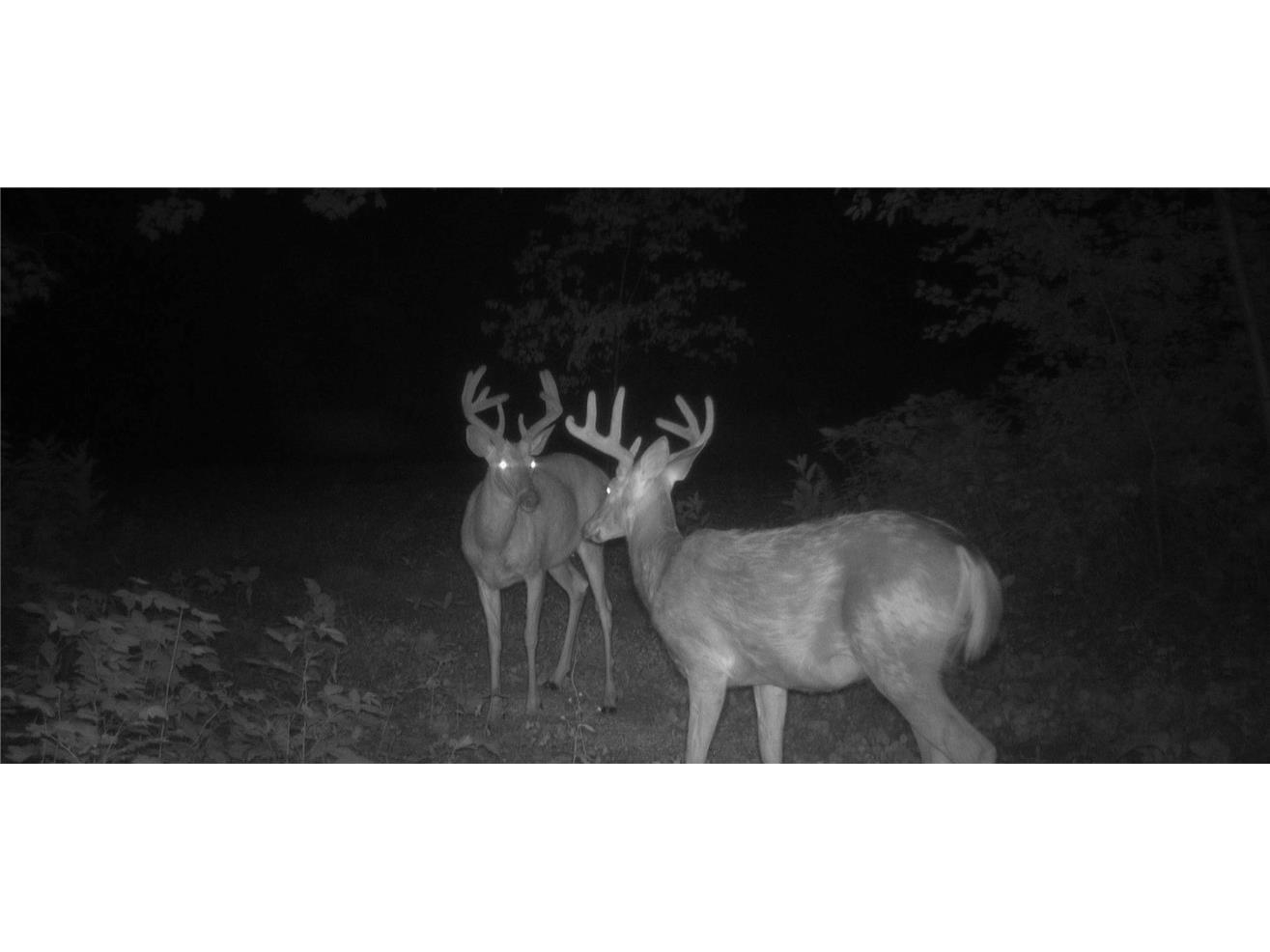 1174 230th Street Baldwin WI 54002 1595327 image49