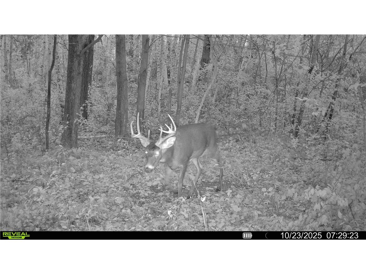 1174 230th Street Baldwin WI 54002 1595327 image50