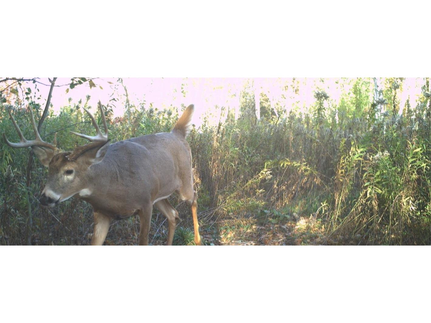 1174 230th Street Baldwin WI 54002 1595327 image52