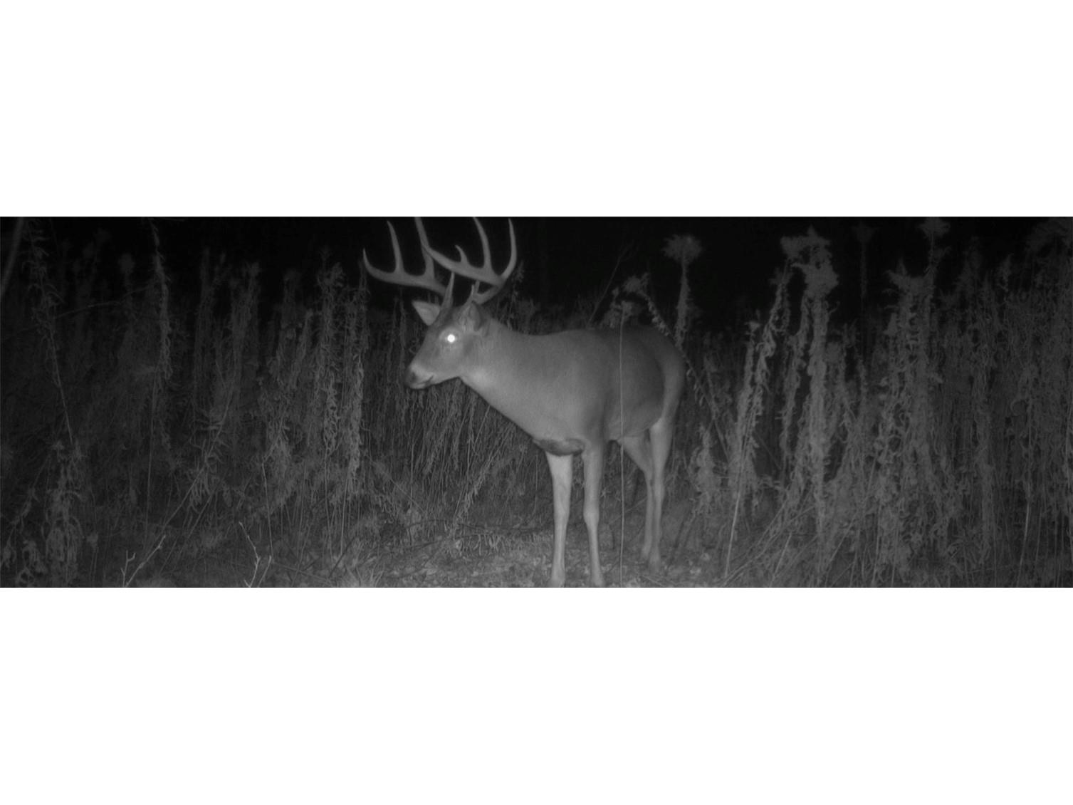 1174 230th Street Baldwin WI 54002 1595327 image53