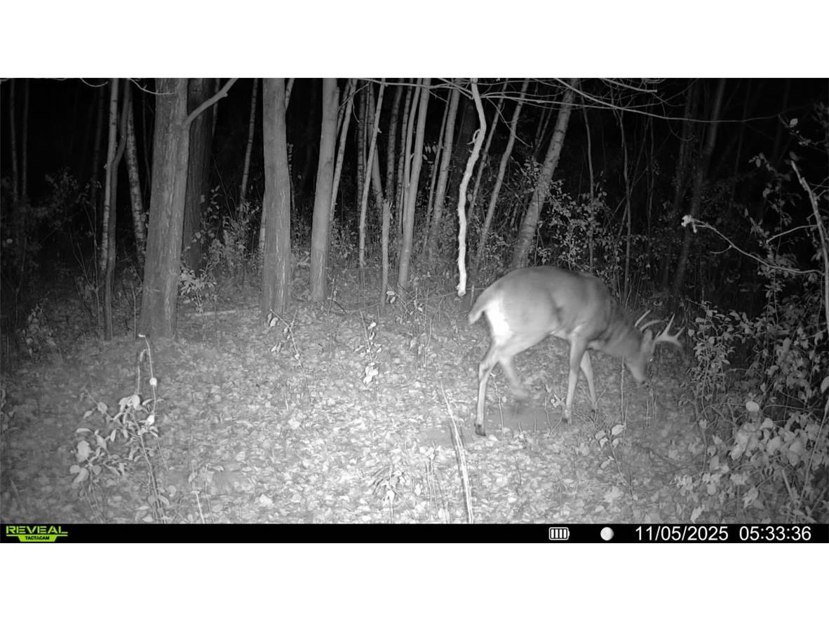 1174 230th Street Baldwin WI 54002 1595327 image57