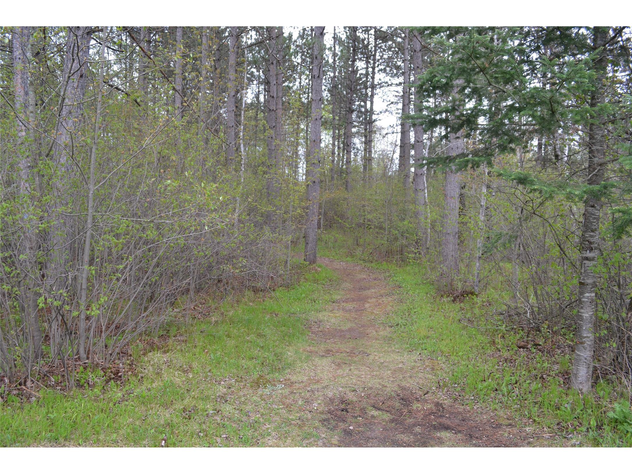 11803 N Haakon Lane Hayward WI 54843 1601352 image9