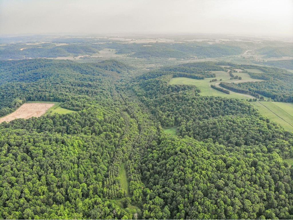 120 Acres 640th Avenue Knapp WI 54749 1573920 image1