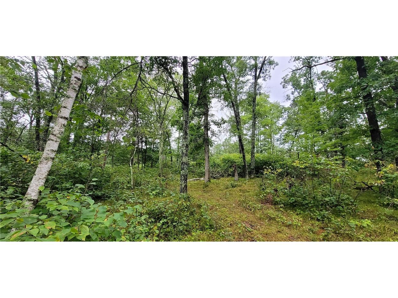 12029 Lot 3 E County Highway Y Gordon WI 54838 - SIMMS 1585367 image3