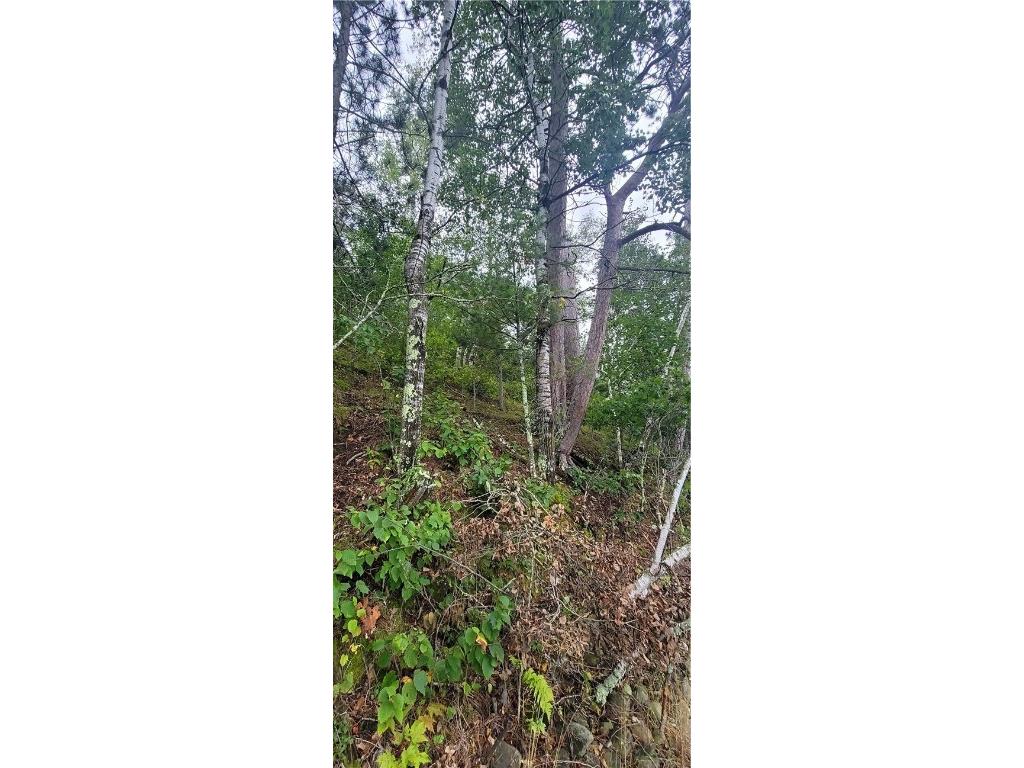 12029 Lot 4 E County Highway Y Gordon WI 54838 - SIMMS 1585366 image2