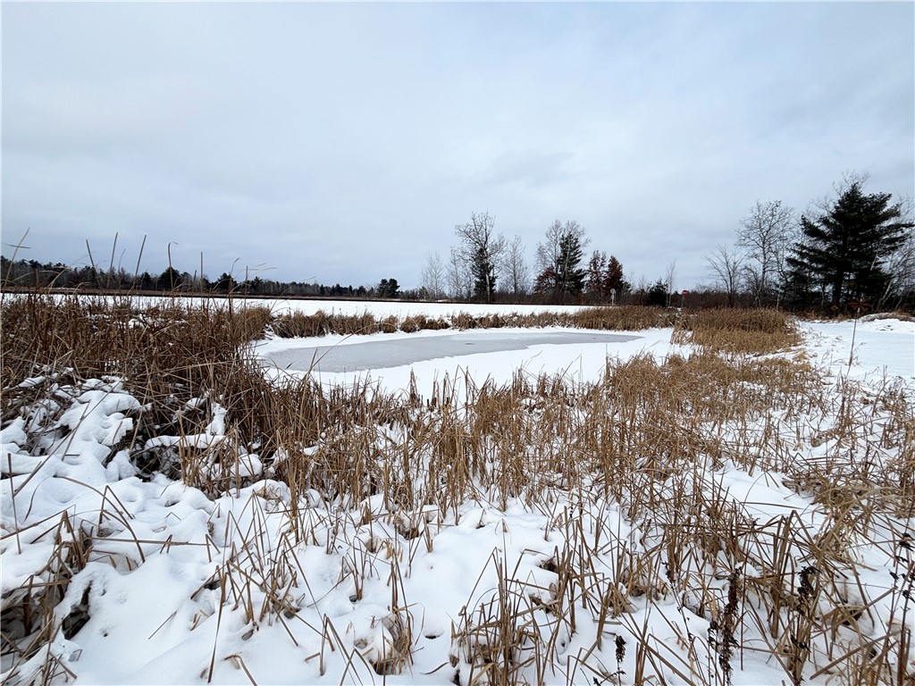 12058 W State Highway 8 Bruce WI 54819 1597342 image35