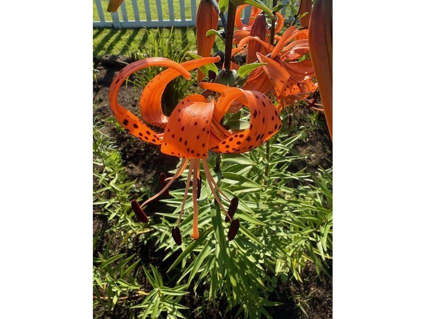 1213 2nd Street Chetek WI 54728 1596492 image40