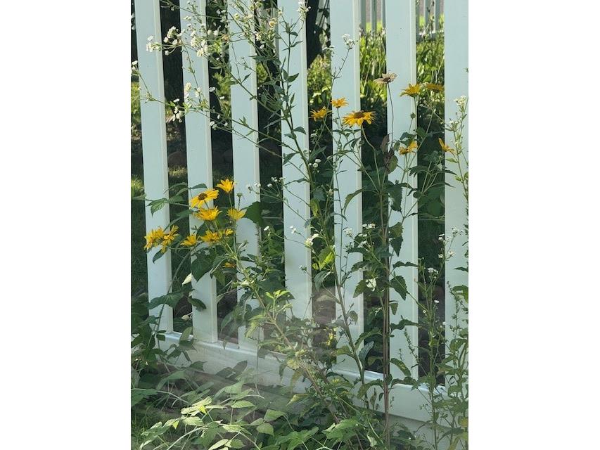 1213 2nd Street Chetek WI 54728 1596492 image41