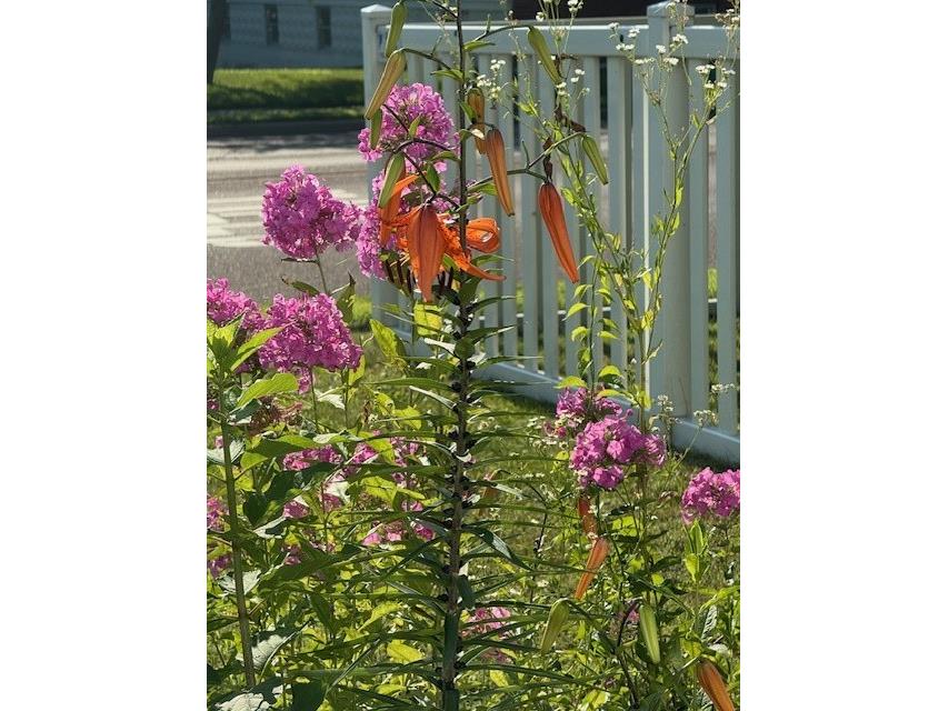 1213 2nd Street Chetek WI 54728 1596492 image42