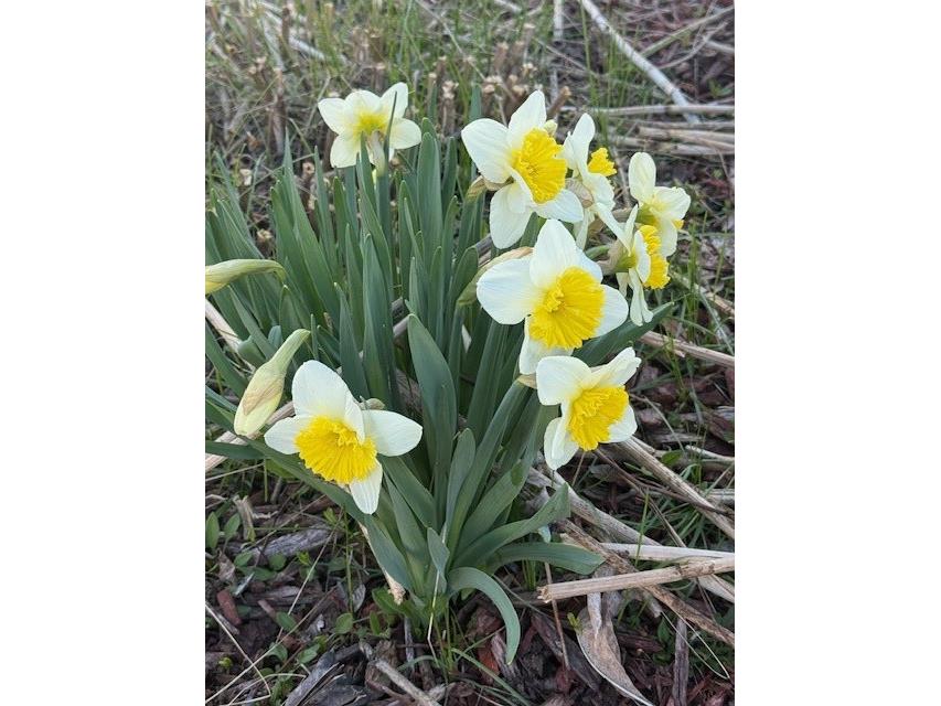 1213 2nd Street Chetek WI 54728 1596492 image43