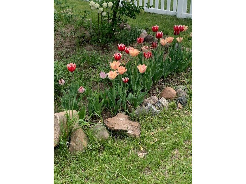 1213 2nd Street Chetek WI 54728 1596492 image44