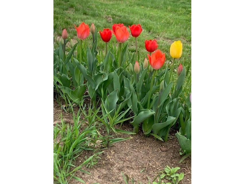 1213 2nd Street Chetek WI 54728 1596492 image45