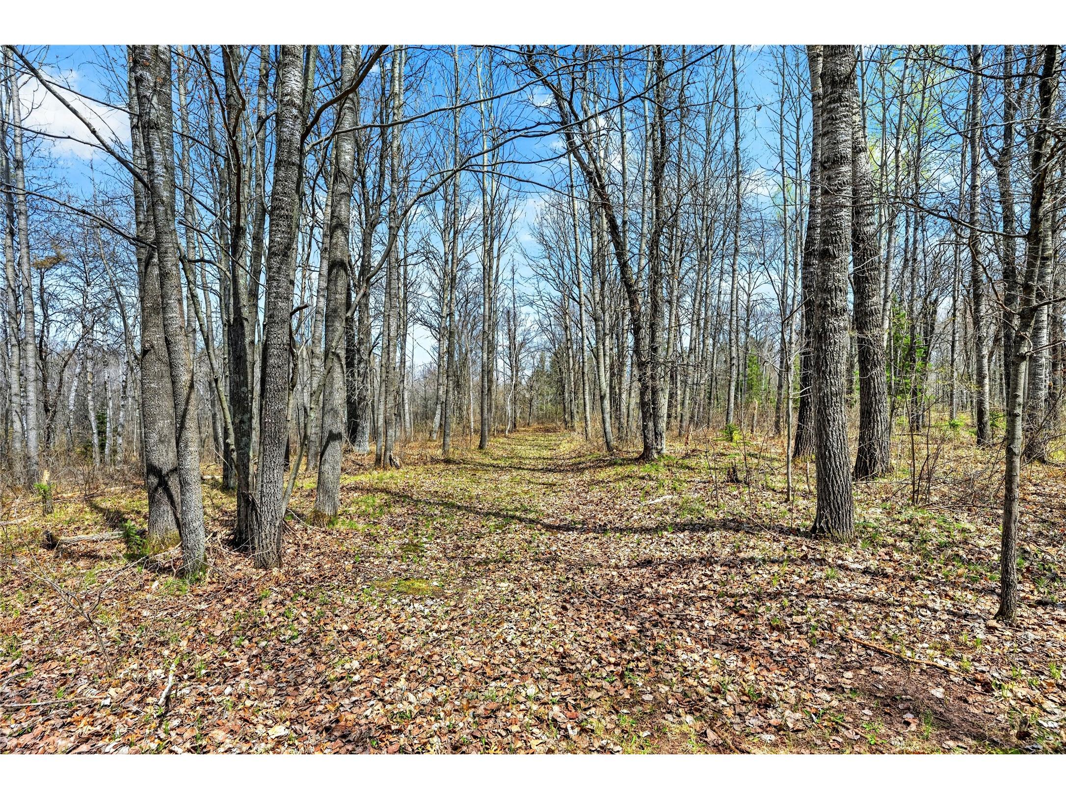 12235 E Crooked Lake Road Gordon WI 54838 1600883 image48