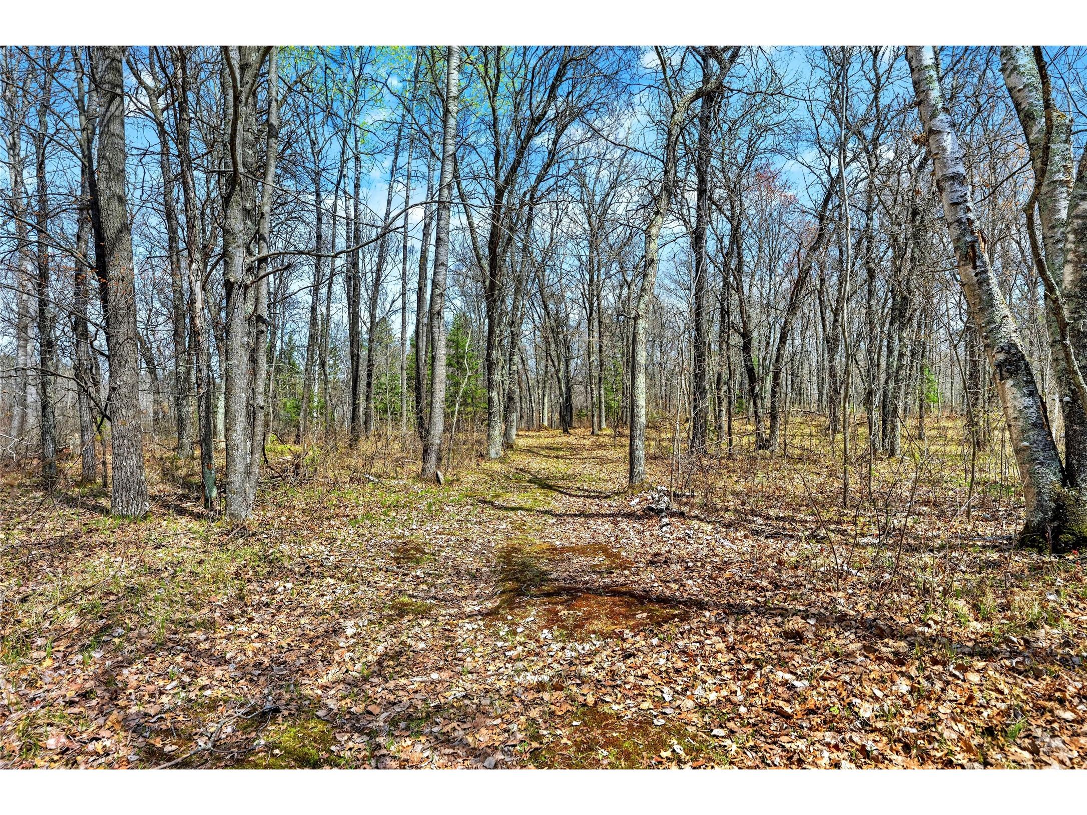 12235 E Crooked Lake Road Gordon WI 54838 1600883 image50