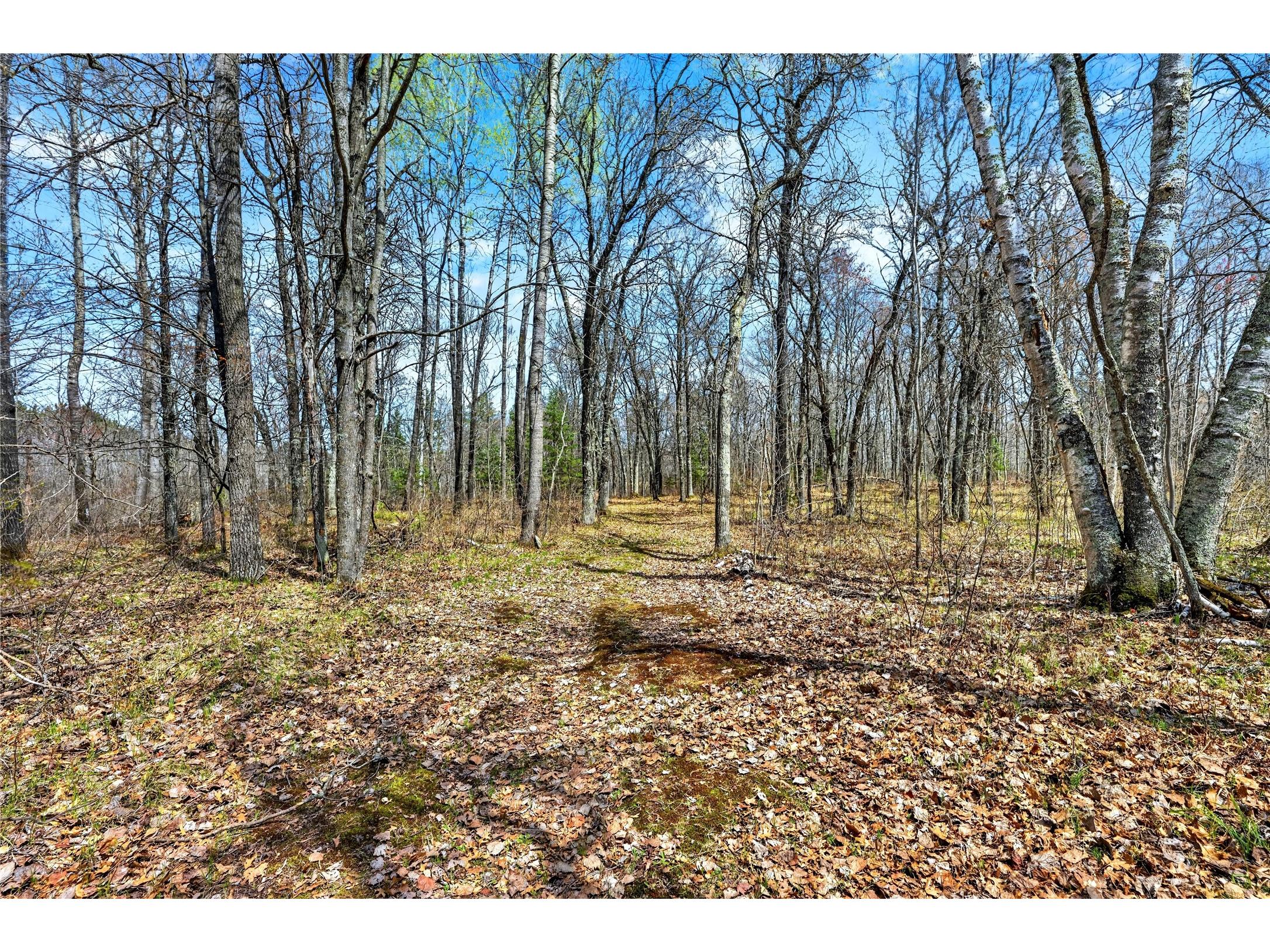 12235 E Crooked Lake Road Gordon WI 54838 1600883 image51