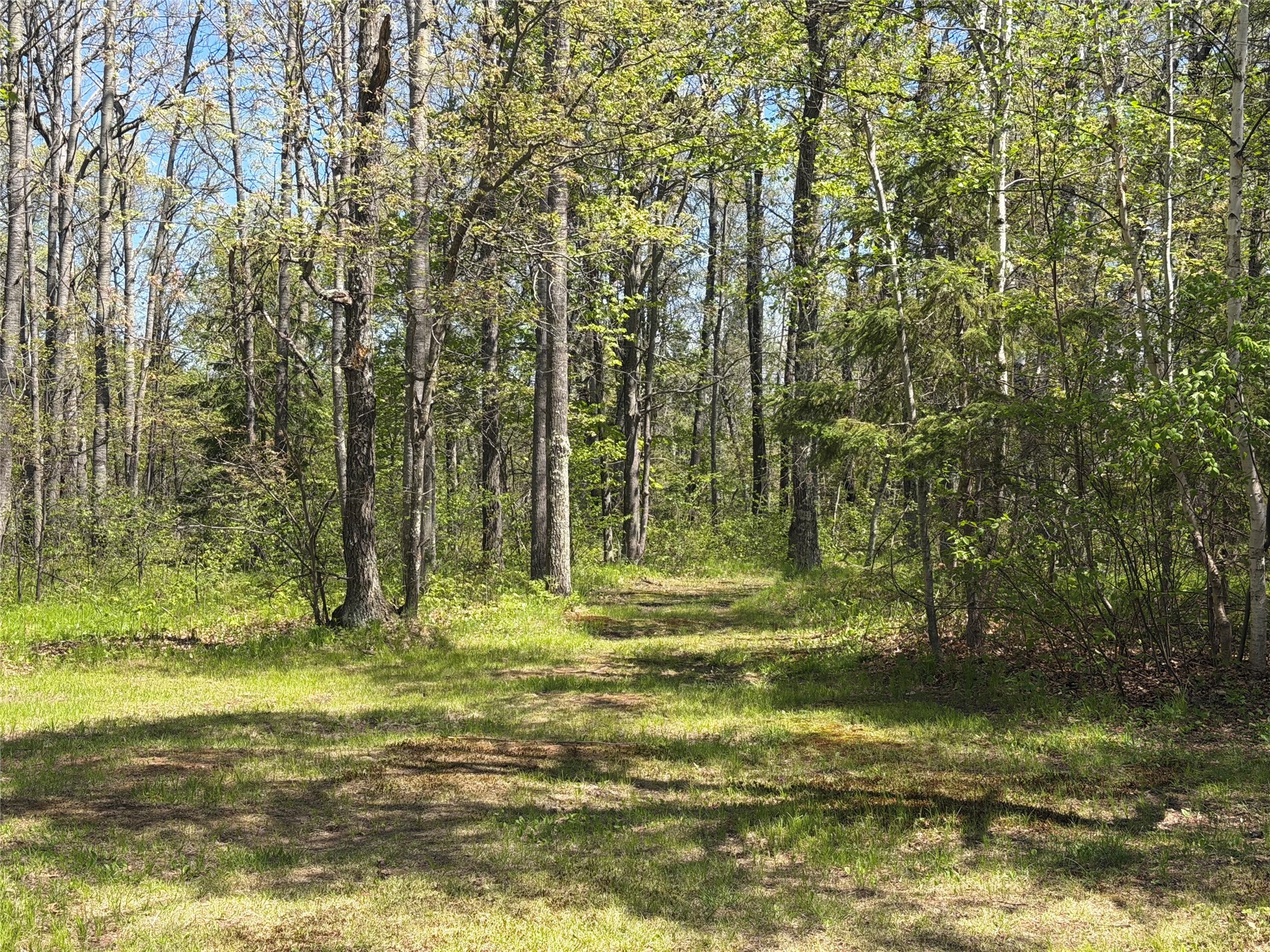 12235 E Crooked Lake Road Gordon WI 54838 1600883 image58