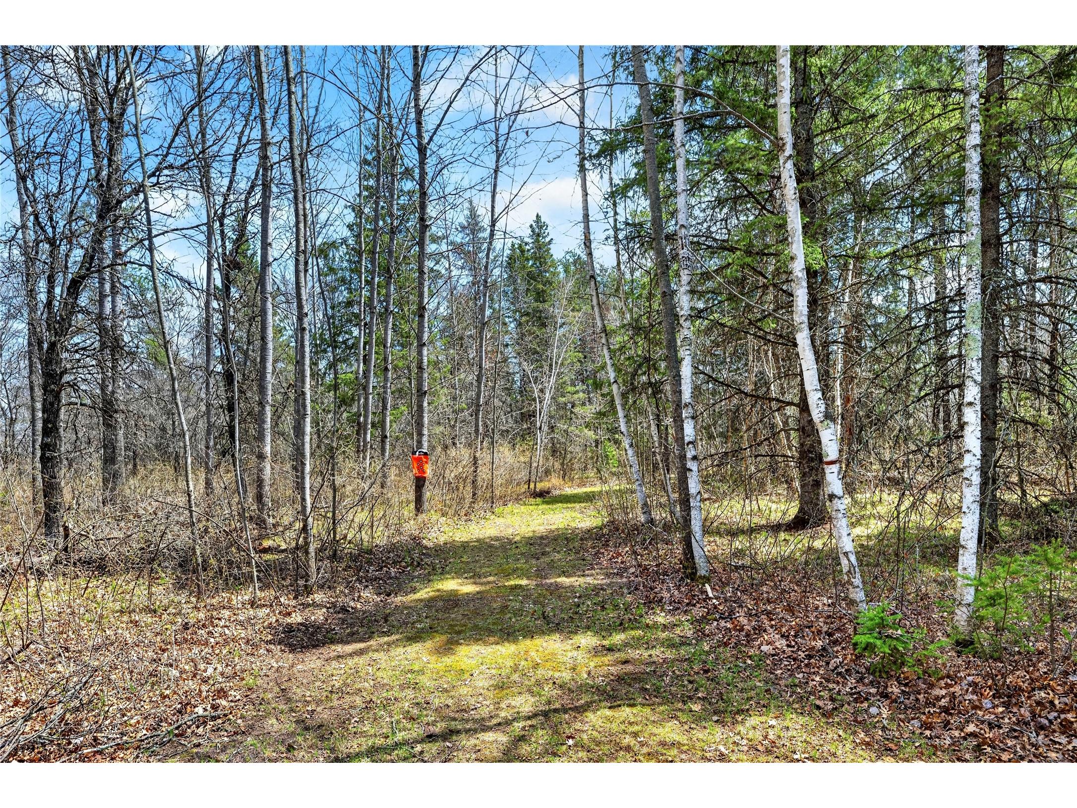 12235 E Crooked Lake Road Gordon WI 54838 1600883 image6
