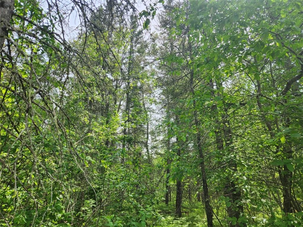 12245 Lot C Cable Sunset Road Cable WI 54821 1571248 image1