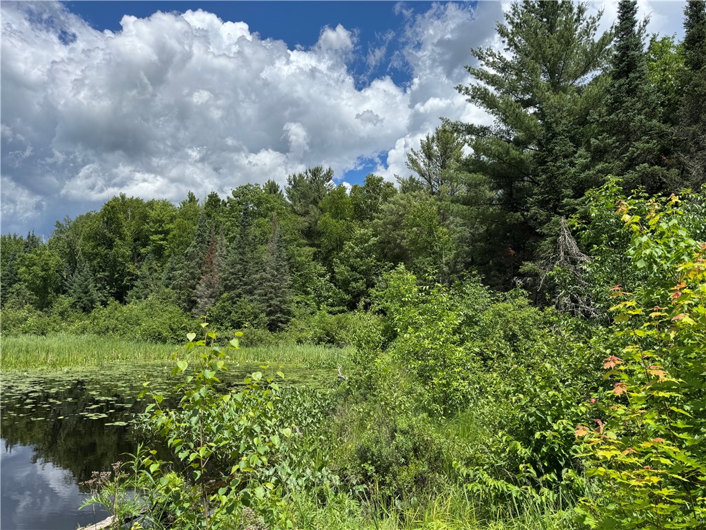 12251N Hollywood Drive Hayward WI 54843 - Ghost Lake 1593143 image10