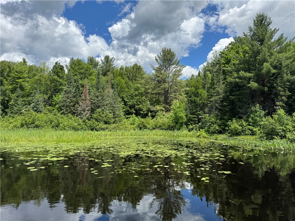 12251N Hollywood Drive Hayward WI 54843 - Ghost Lake 1593143 image11