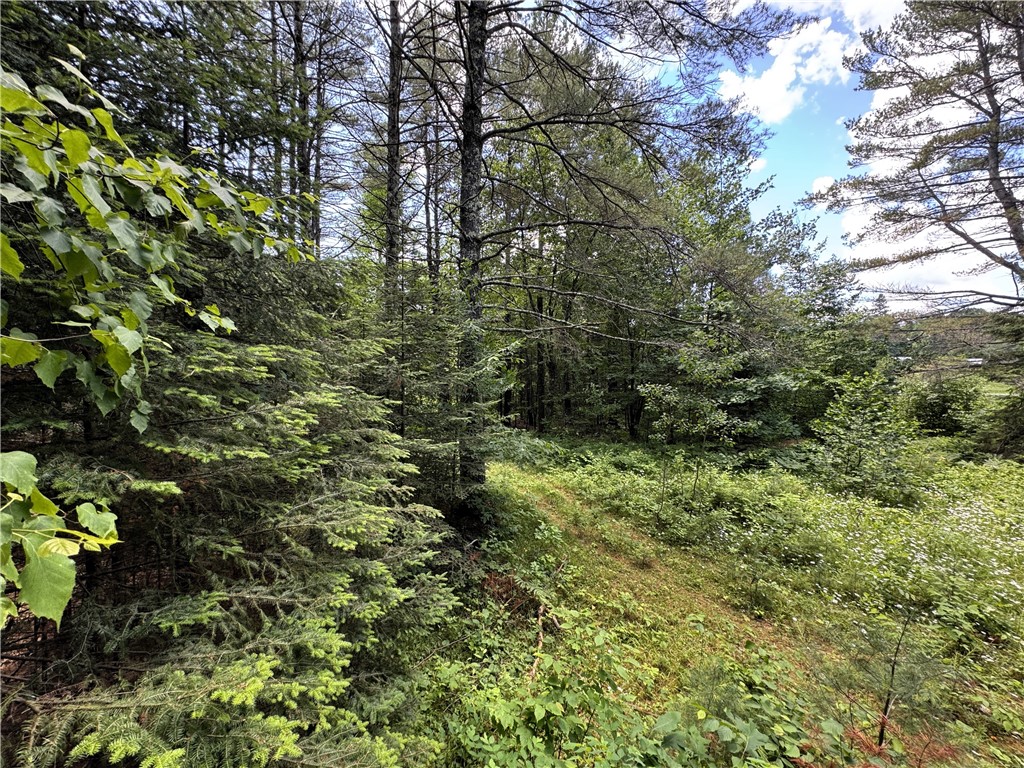 12251N Hollywood Drive Hayward WI 54843 - Ghost Lake 1593143 image9