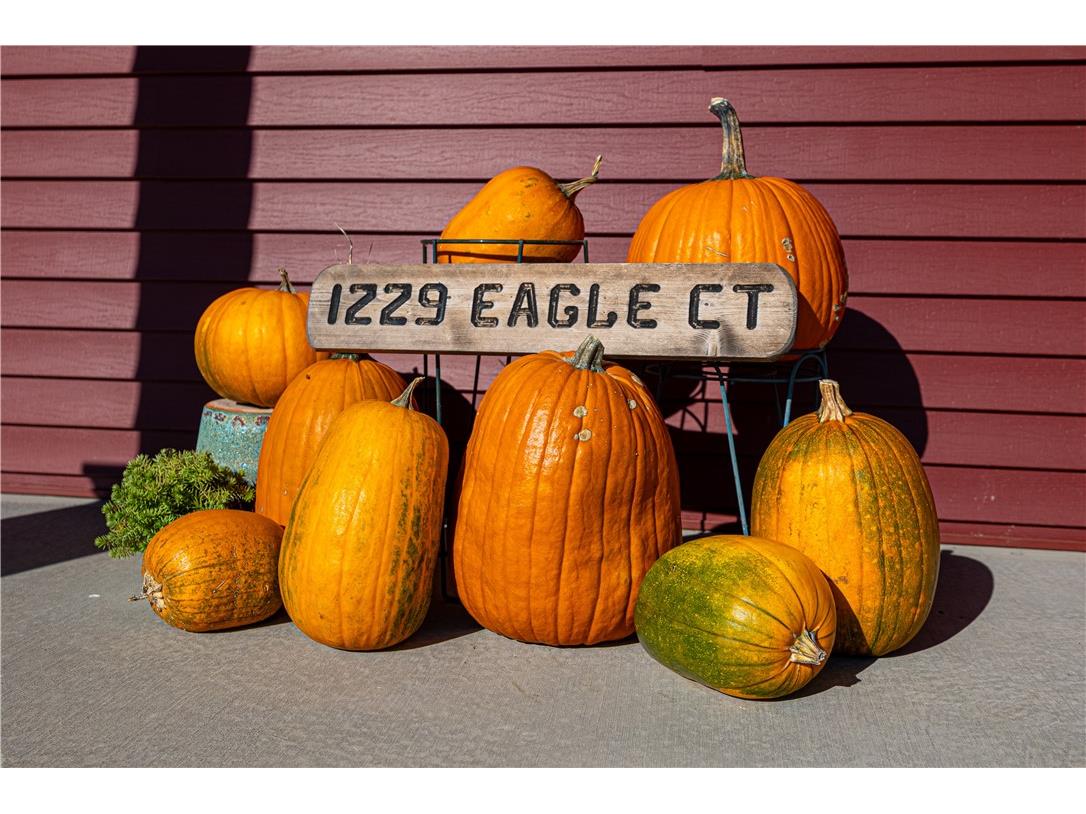 1229 Eagle Court Ladysmith WI 54848 1596749 image38