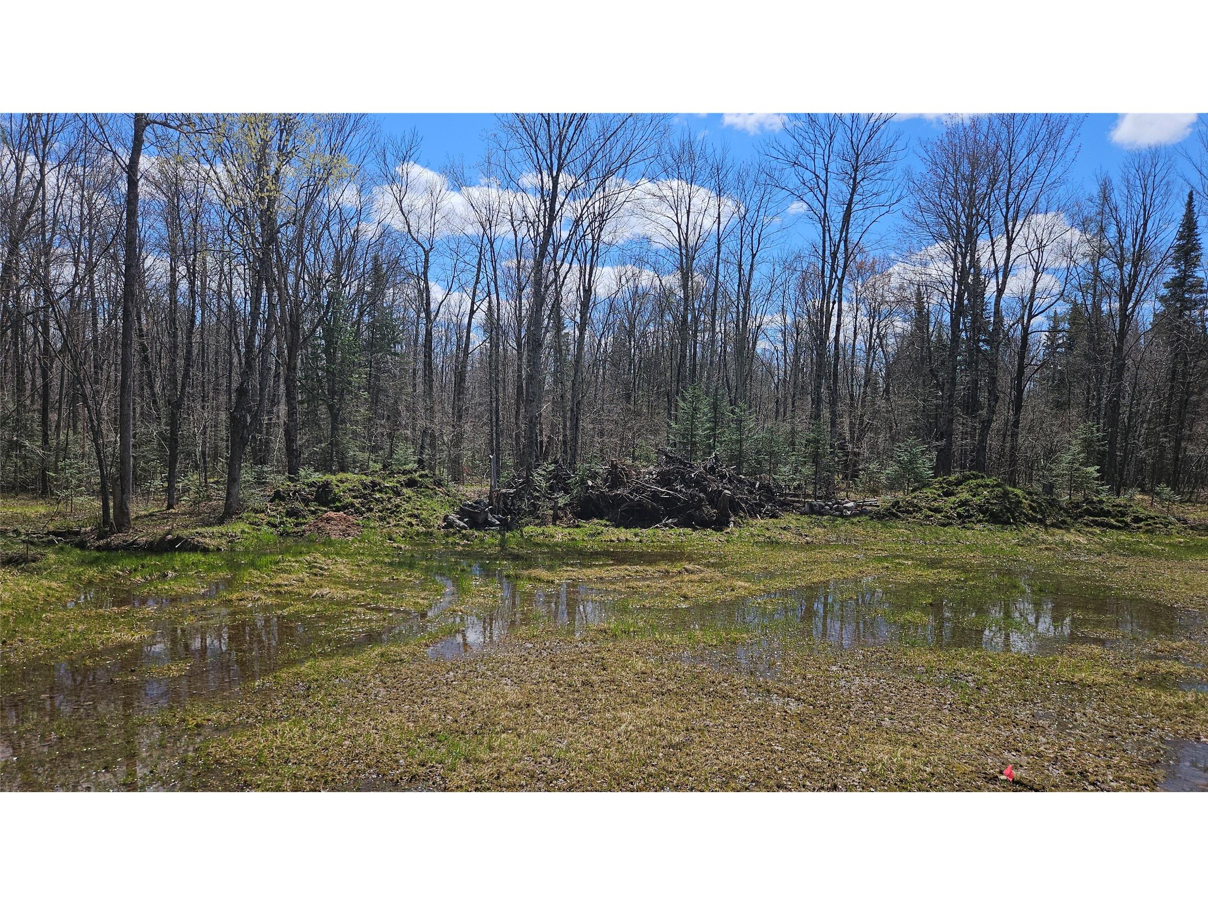 12331 W Delap Lane Couderay WI 54828 1600596 image1
