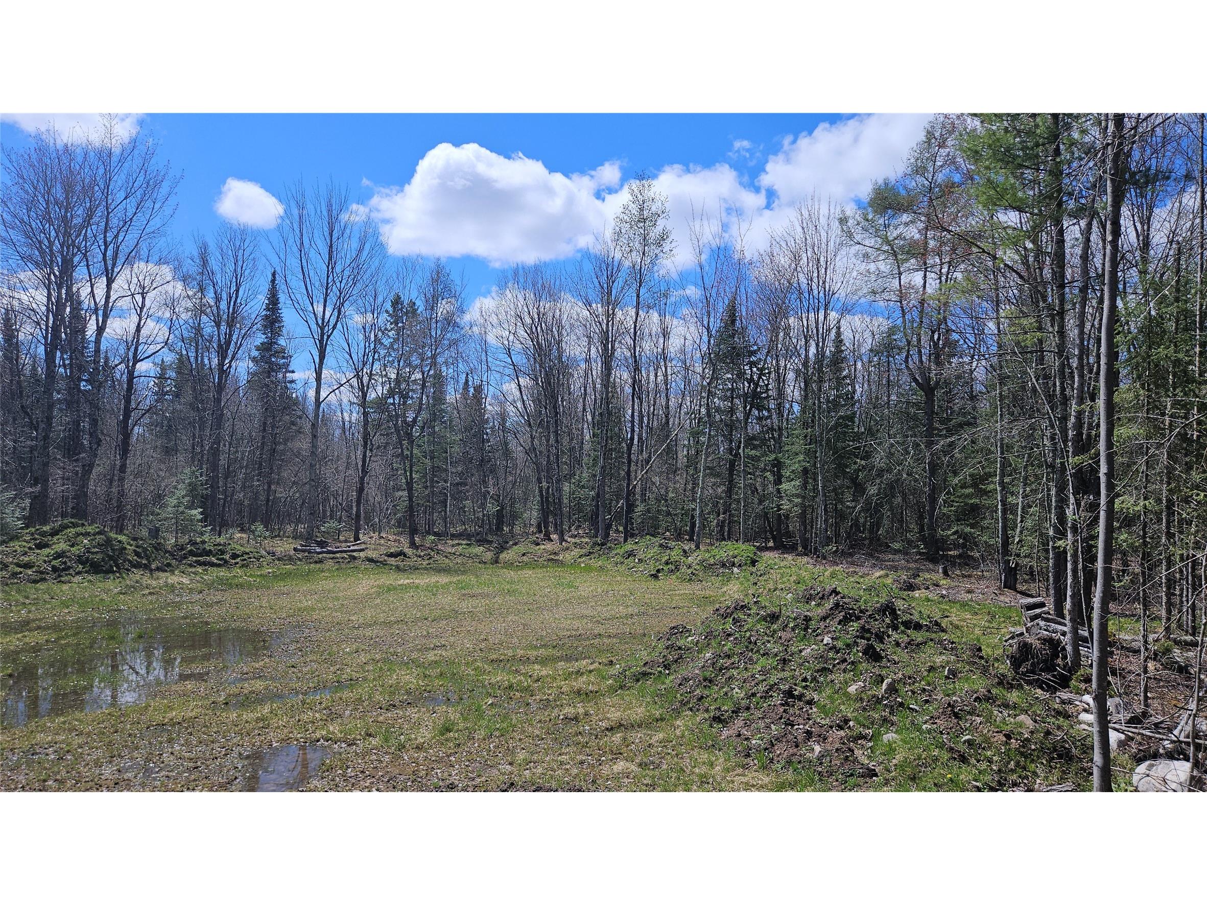 12331 W Delap Lane Couderay WI 54828 1600596 image13