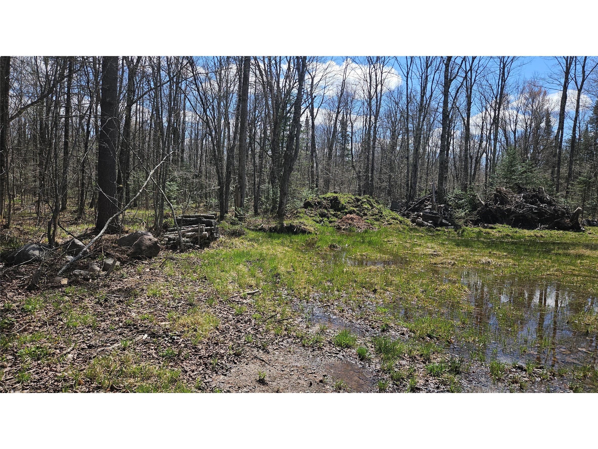 12331 W Delap Lane Couderay WI 54828 1600596 image6