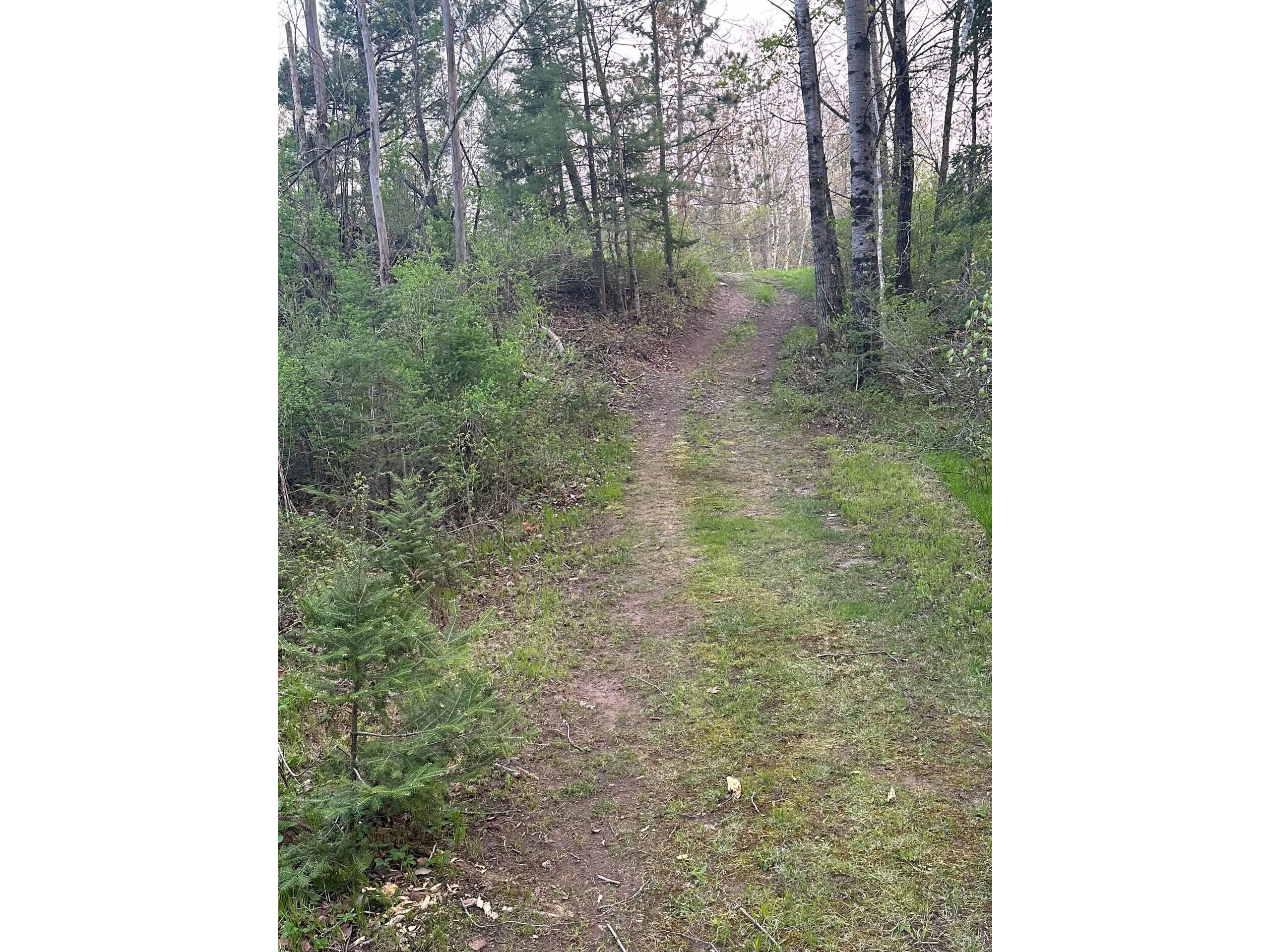 12493 W State Highway 27/70 Couderay WI 54828 1601492 image36