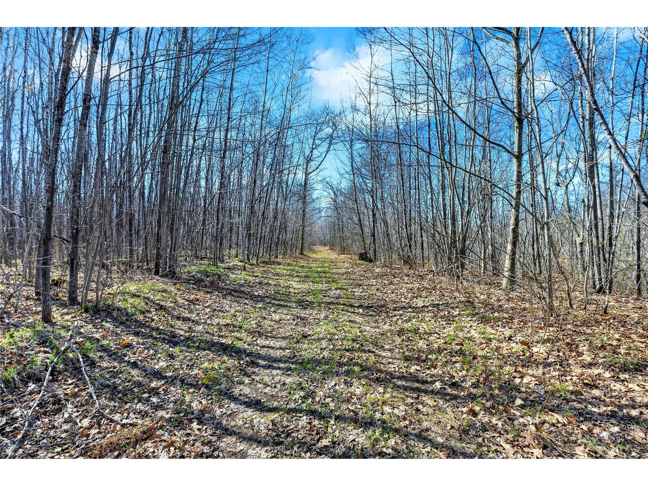 12499 N Brooklyn Road Minong WI 54859 1600572 image16