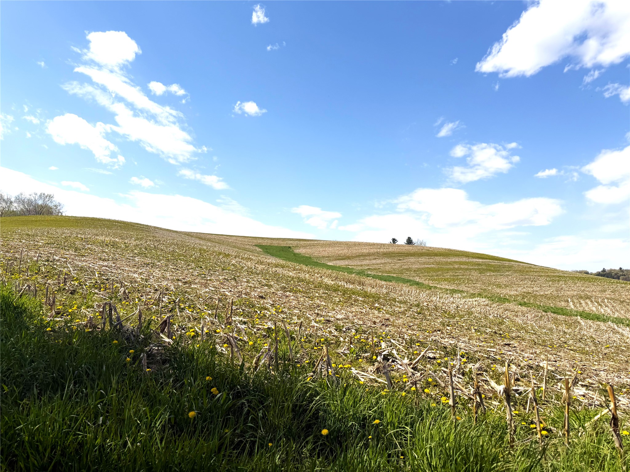 125 acres Steig Coulee Road Osseo WI 54758 1601001 image10