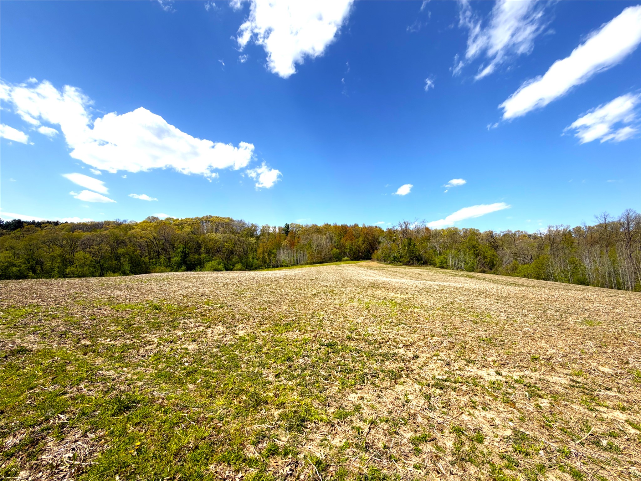 125 acres Steig Coulee Road Osseo WI 54758 1601001 image11